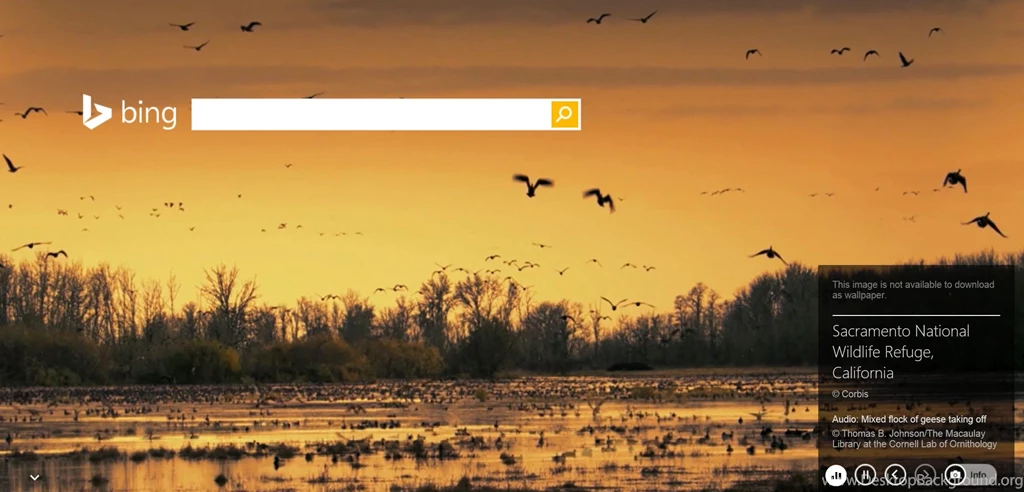 Microsoft Bing: A Search Engine With Stunning Wallpapers And Now ...