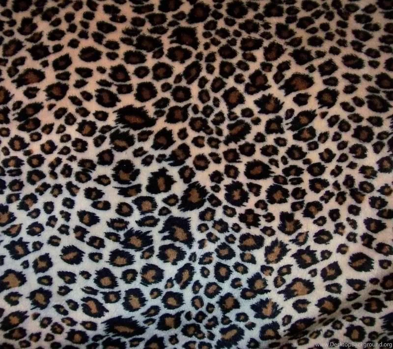 Cheetah Print Background Images