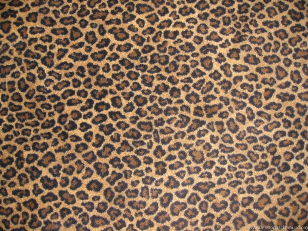 Animal Print On Pinterest