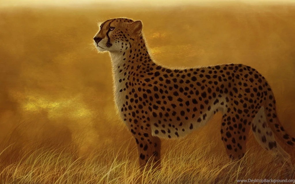 Cheetah Wallpapers For PC Desktop