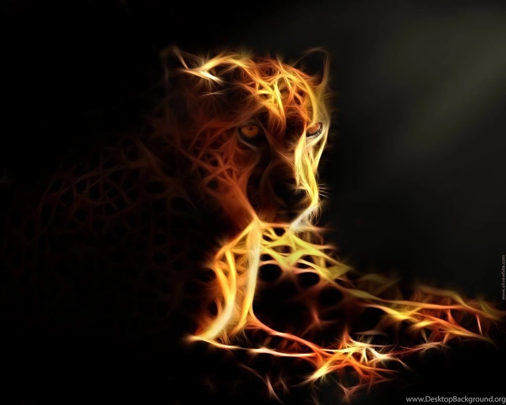 Cheetah Wallpapers Wonderful Backgrounds 2019 High Definition