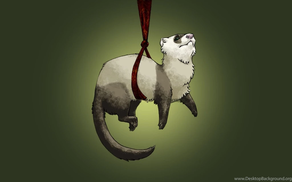 Hanging Ferret Wallpapers By Nivailis On DeviantArt