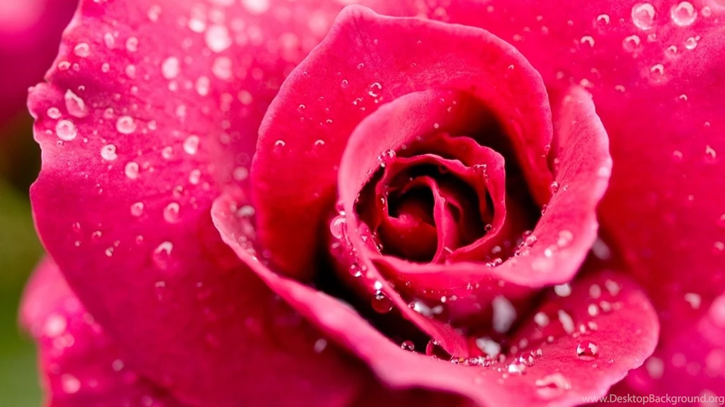 HD Wallpapers 1080p HD PC Backgrounds 1080p