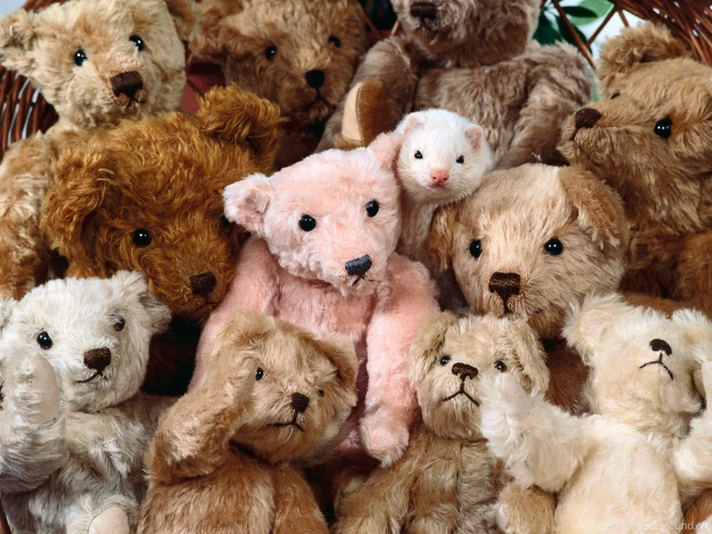 Free Wallpapers Hide And Seek