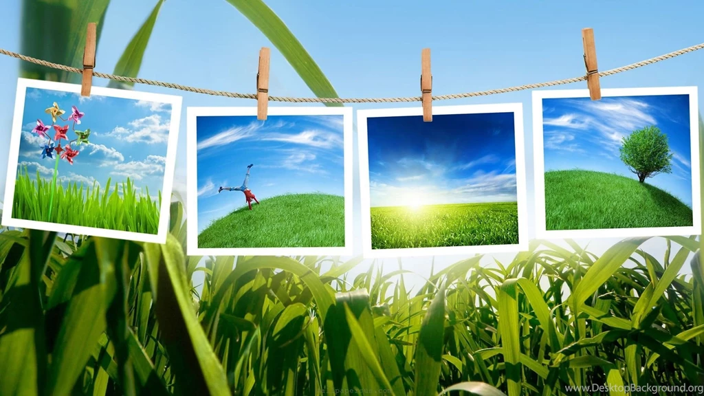 Abstract Art Nature Wallpapers