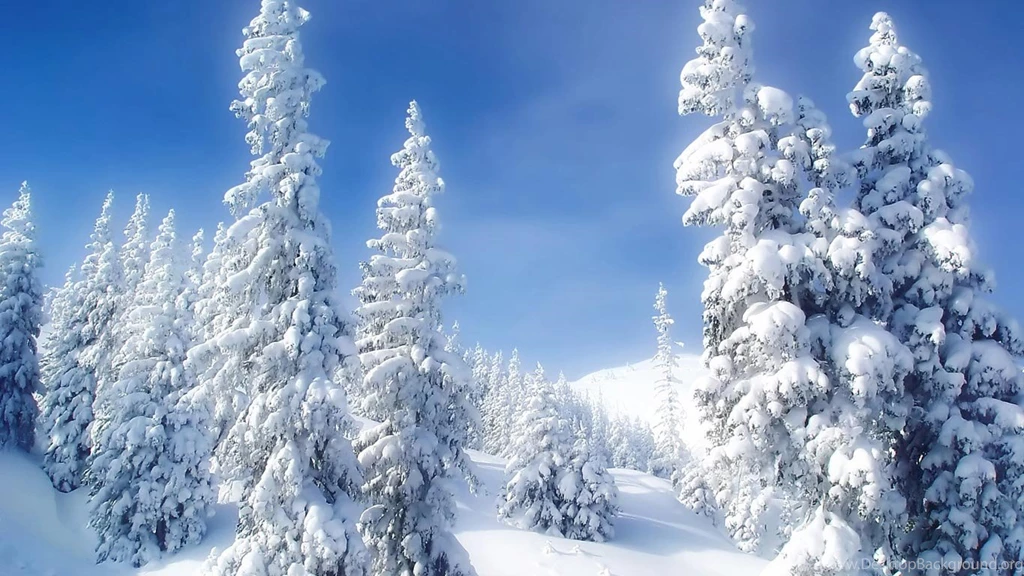 Desktop Wallpapers · Gallery · HD Notebook · Mountain Snow Forest ...