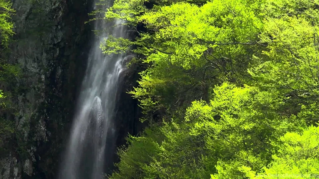 Amazing Nature 12 Video Backgrounds HD 1080p YouTube