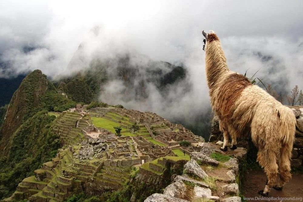 Overview For BigPancakes