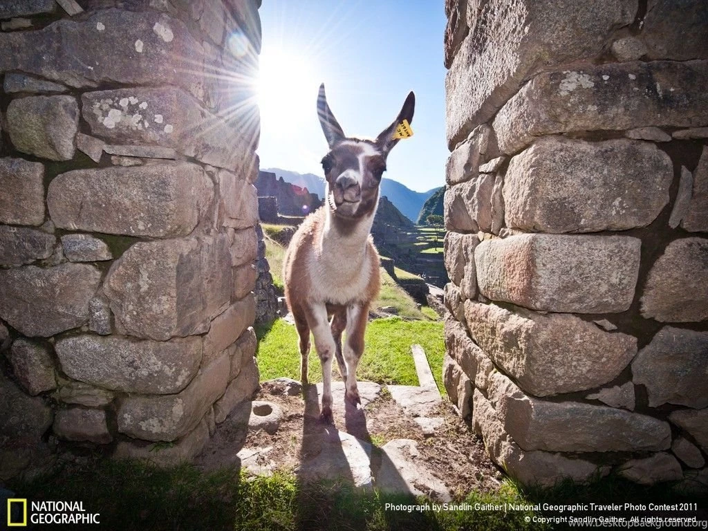 Spontaneous Moments Week 9 Wallpapers Traveler Photo Contest ...