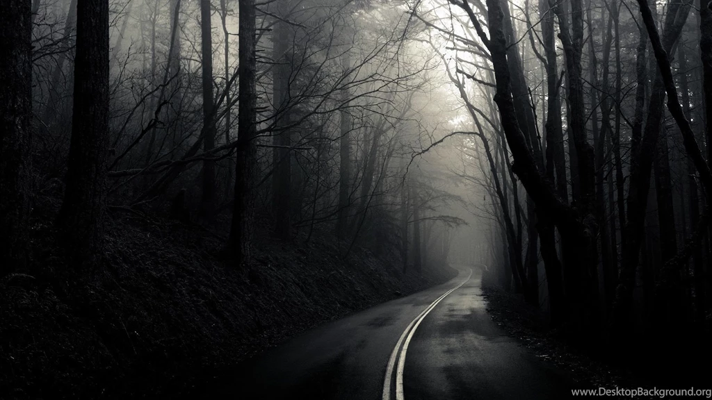 Dark Forest Road HD Wallpapers