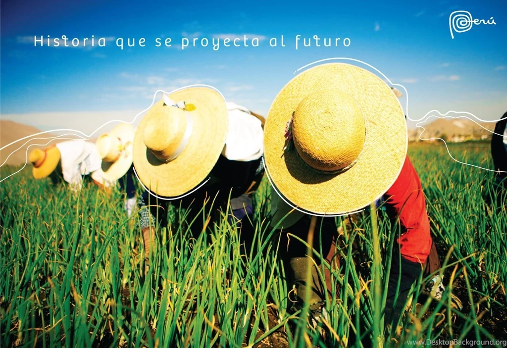 527da14b 893a 42c1 9a02 9d2d00a6518b.jpg