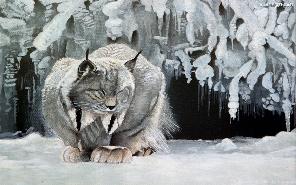 Lynx HD Desktop Wallpapers