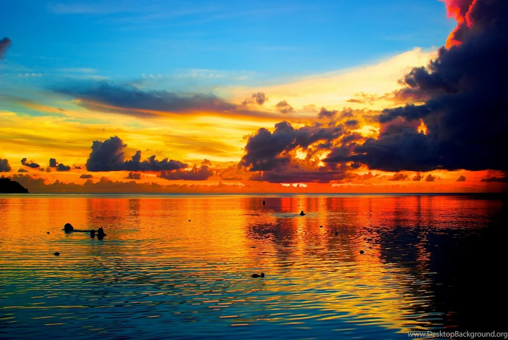 Sea, Sunset, Palm Tree, Guam