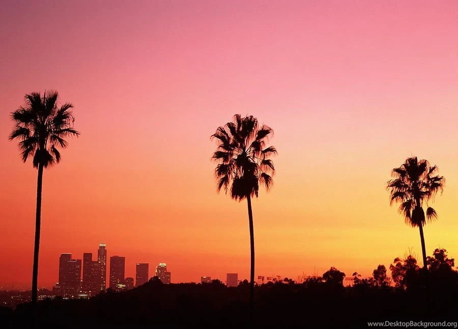 Los Angeles Skyline Palm Trees Wallpaper.