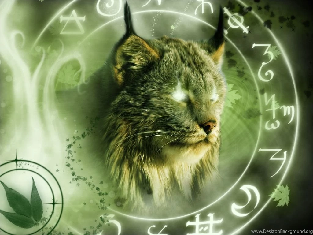 Wallpapers Big Cats Lynx Animals Image