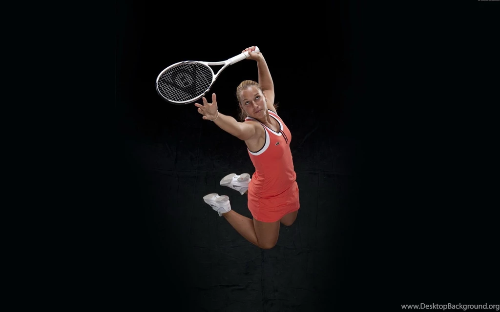 Dominika Cibulkova 2014 Tennis Wallpaper.jpg