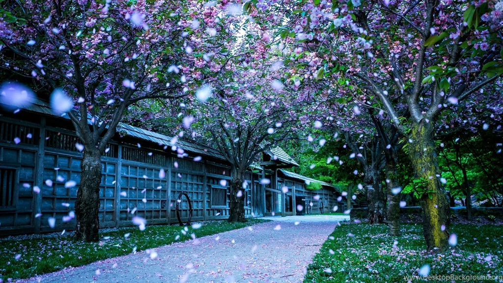 Spring HD Wallpapers Nature