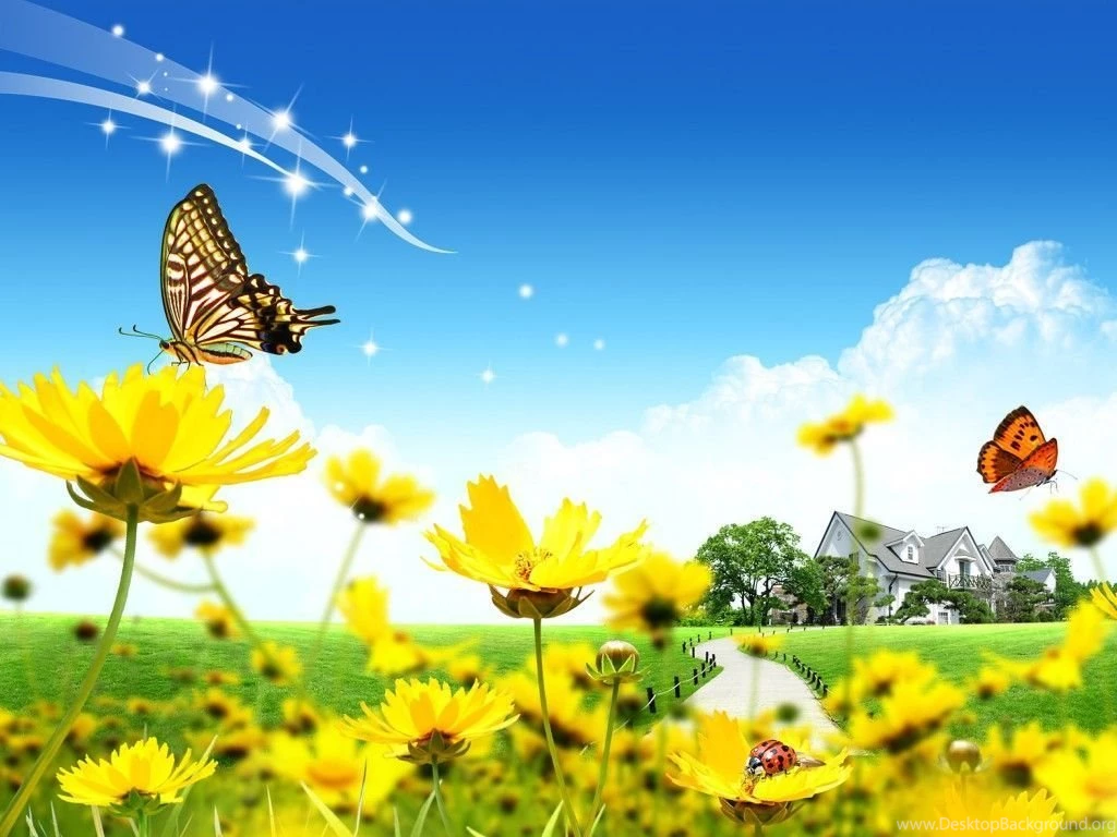 Fantasy Spring Flower Butterfly Wallpapers Tohdwallpapers