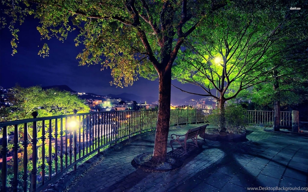 Park With The View Of The Night City Wallpapers Photography ...