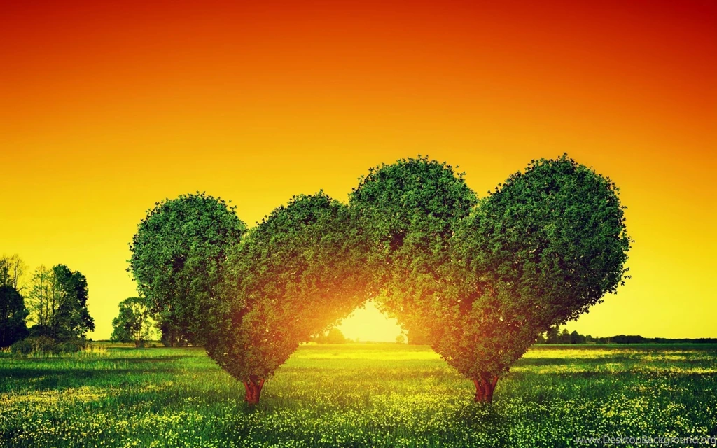 Heart Green Tree 1920x1200.jpg