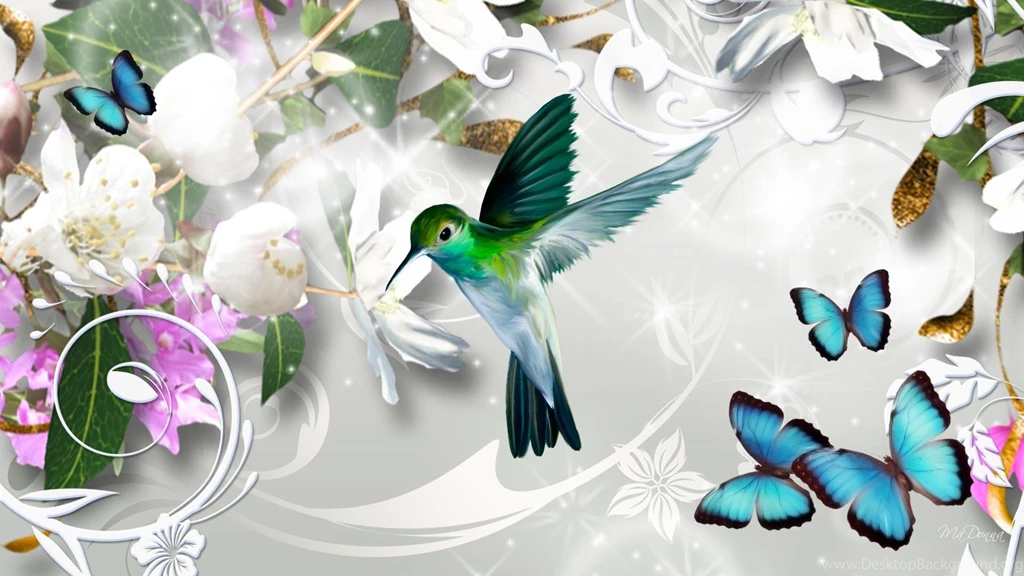 Hummingbird Wallpapers >> Backgrounds With Quality HD