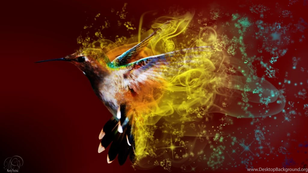 Hummingbird Wallpaper Backgrounds