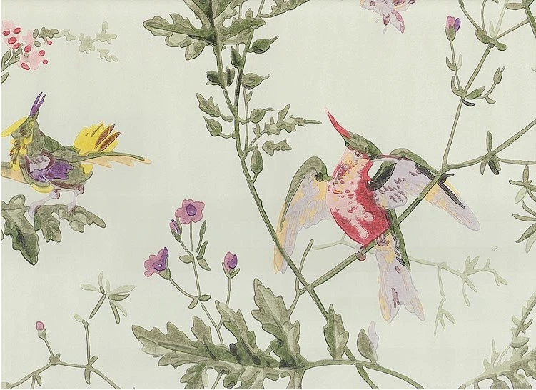 Hummingbird Wallpapers At Anthropologie
