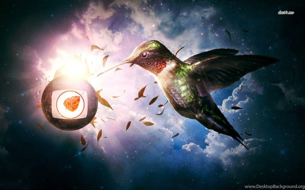 Hummingbird Wallpapers Digital Art Wallpapers
