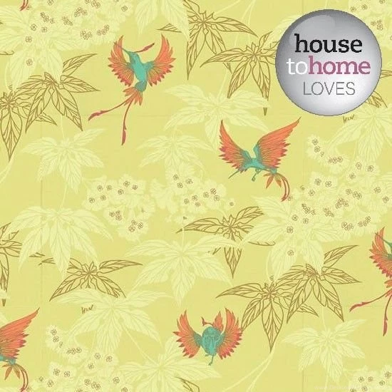 Hummingbird Wallpapers From Wallpapers Direct