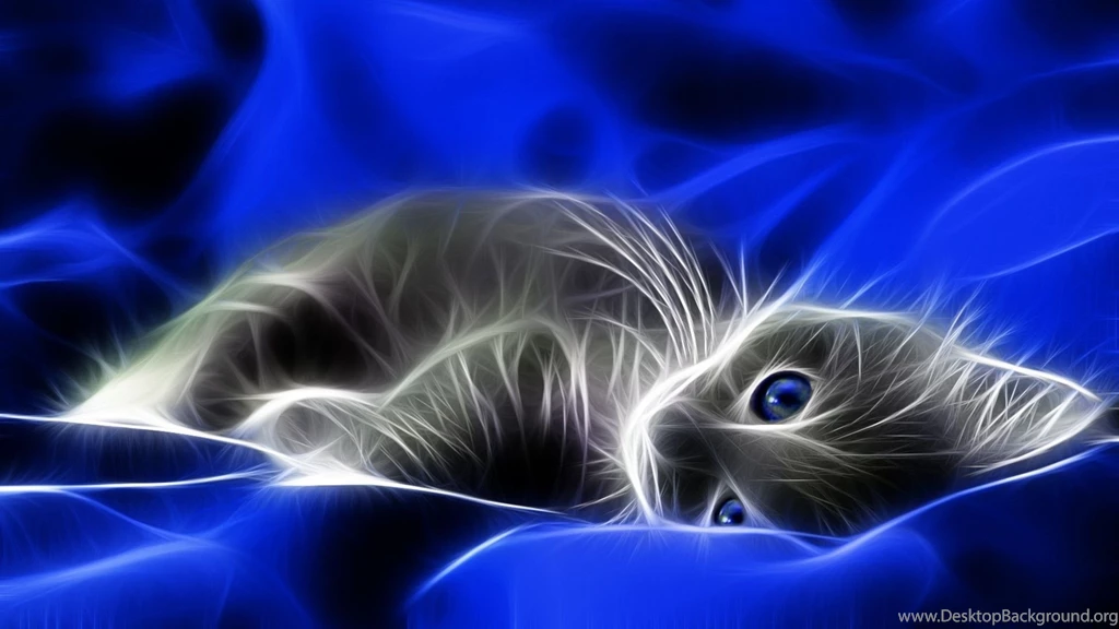 Blue Cats Digital Art Artwork Kittens Wallpapers