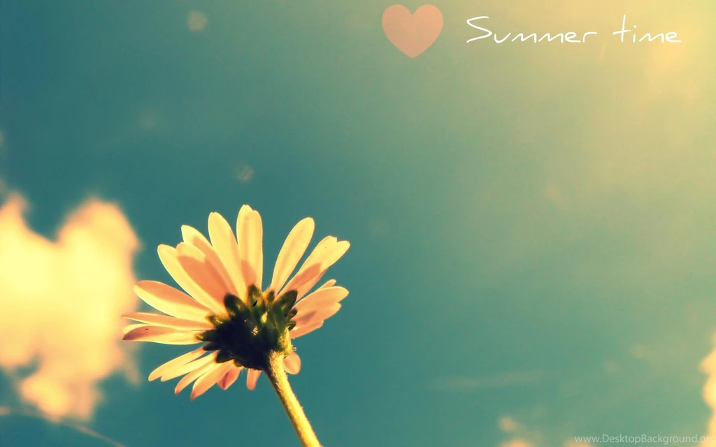Summertime Wallpapers