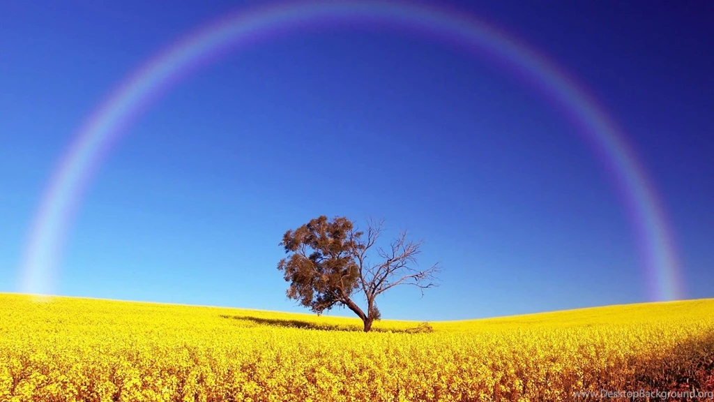 Rainbow Circle Landscape Wallpapers Best
