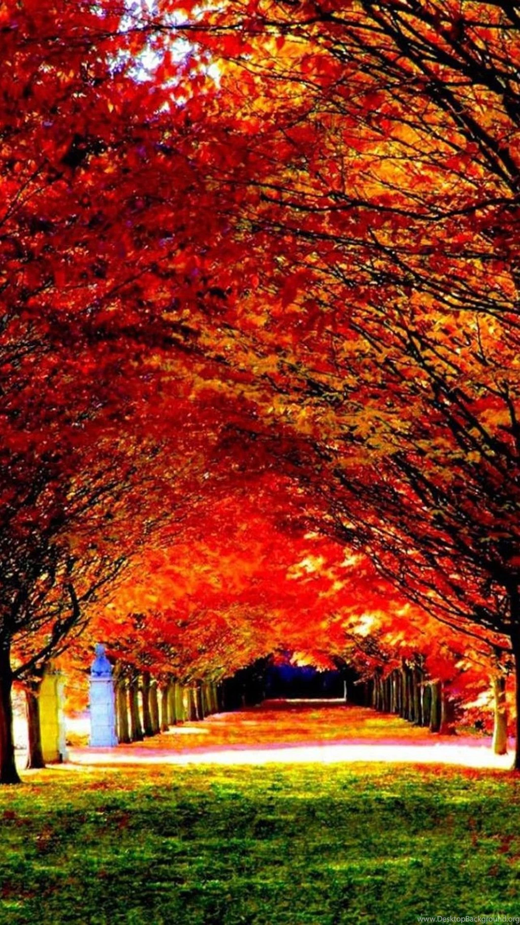 BEST WALLPAPERS FOR IPHONE 5S HD QPO007