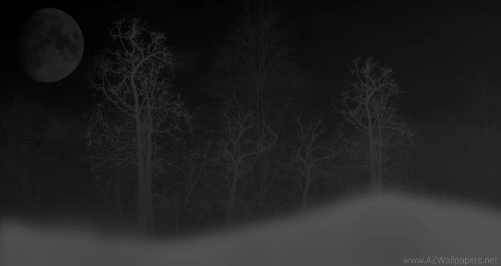 Best Wallpapers Websites