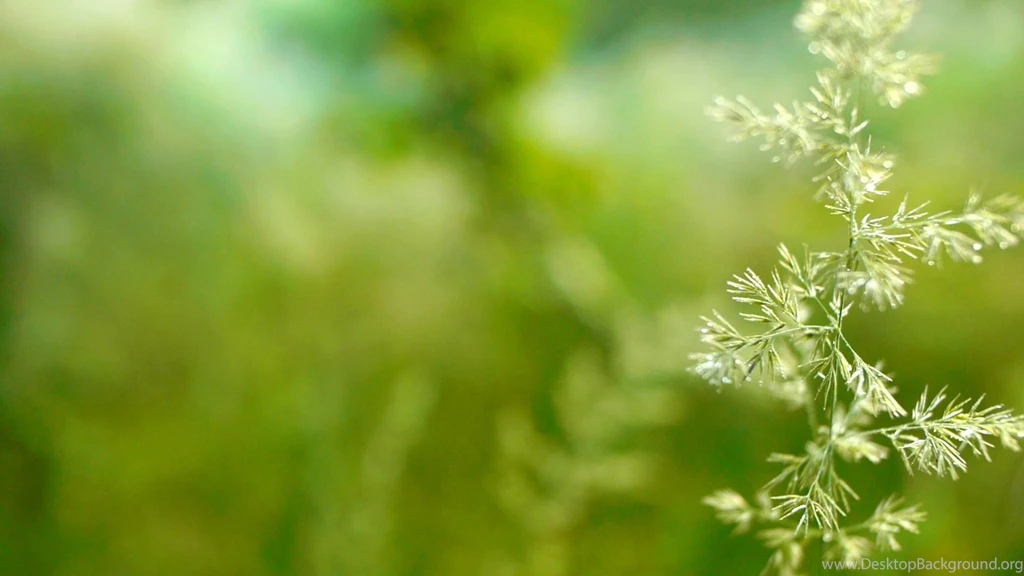 Instrumental Backgrounds Music   Relaxdaily B Sides N°2   For ...