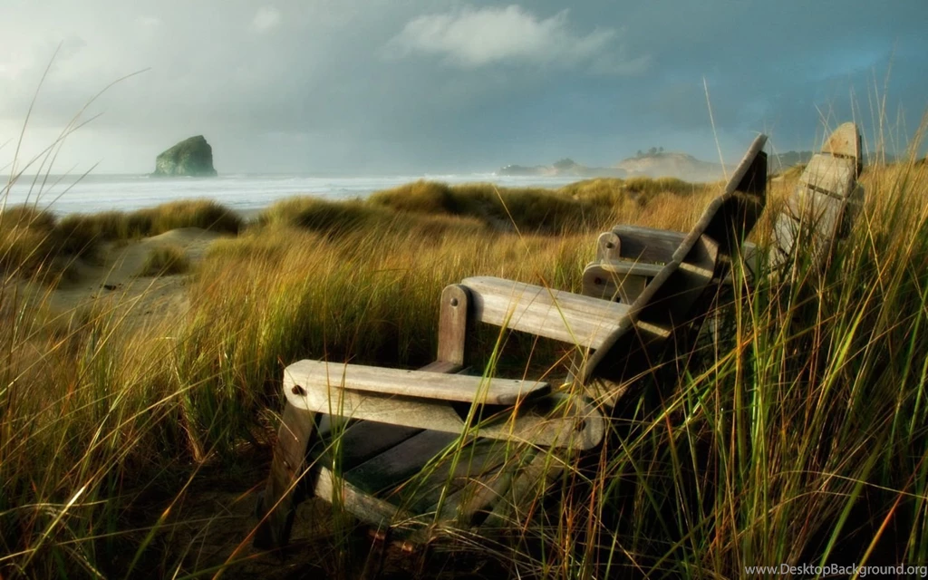 Relaxing Chairs.jpg