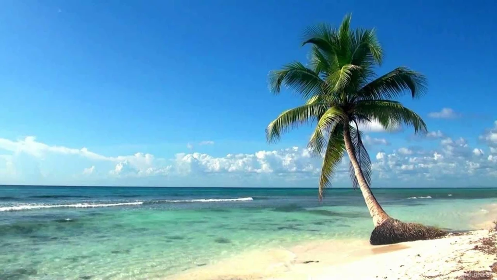 Relaxing Full HD Film Ocean Live Wallpapers Dreamscene YouTube
