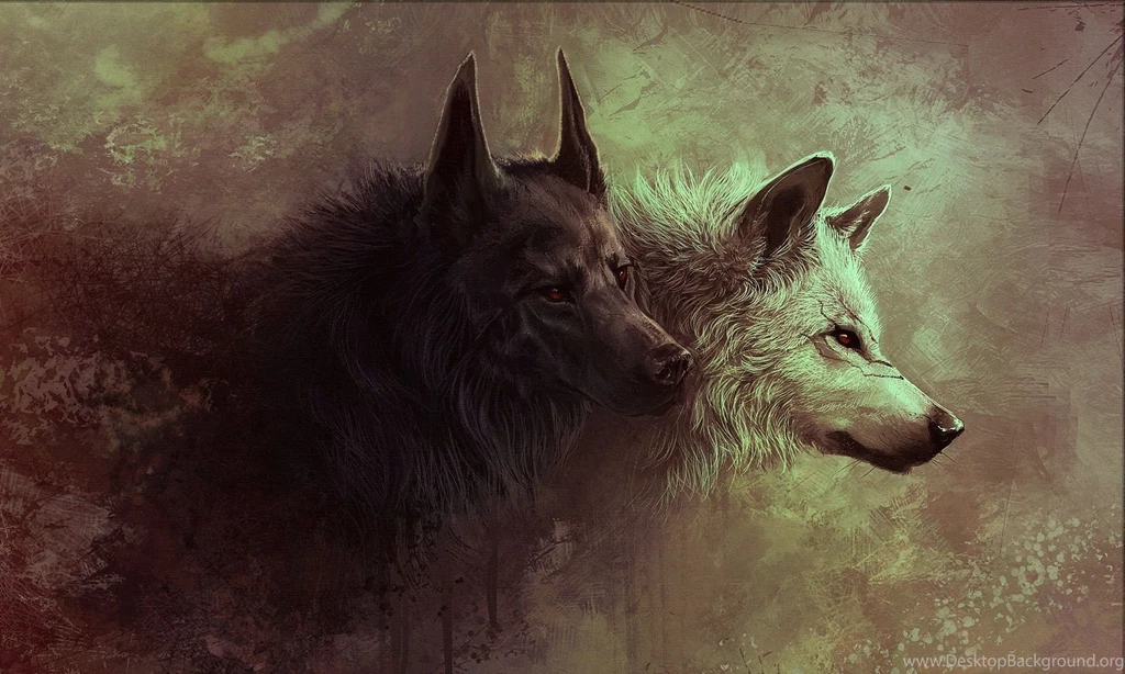 3080) Dark Wolf HD Desktop Wallpapers   WalOps.com