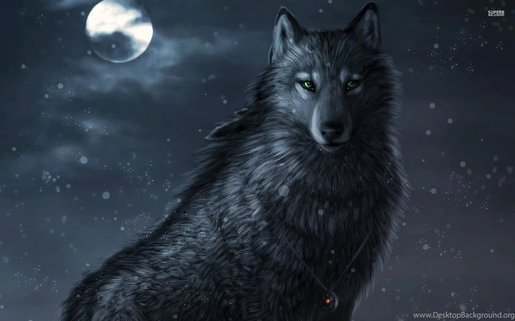 Dark Wolf Wallpapers Digital Art Wallpapers