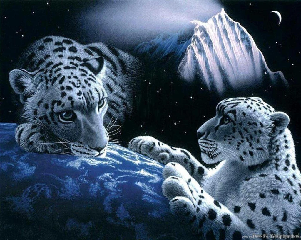 Big Cats   Wild Animals Wallpapers (34365397)   Fanpop