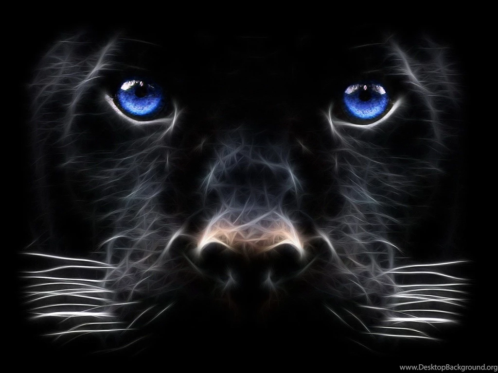 Download Backgrounds Windows Black Panther Big Cats Wallpapers ...