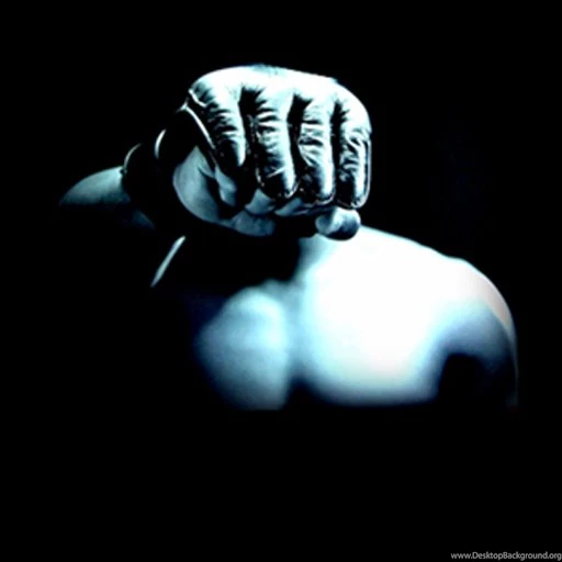 MMA Wallpapers!! App Store Revenue & Download Estimates US