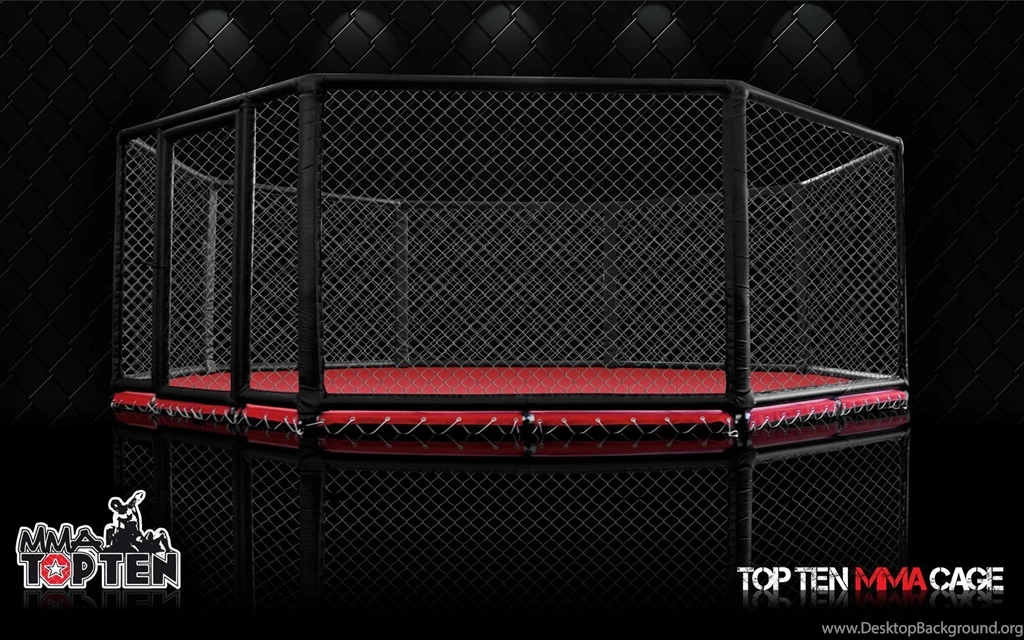 Top Ufc Cage Images For Pinterest