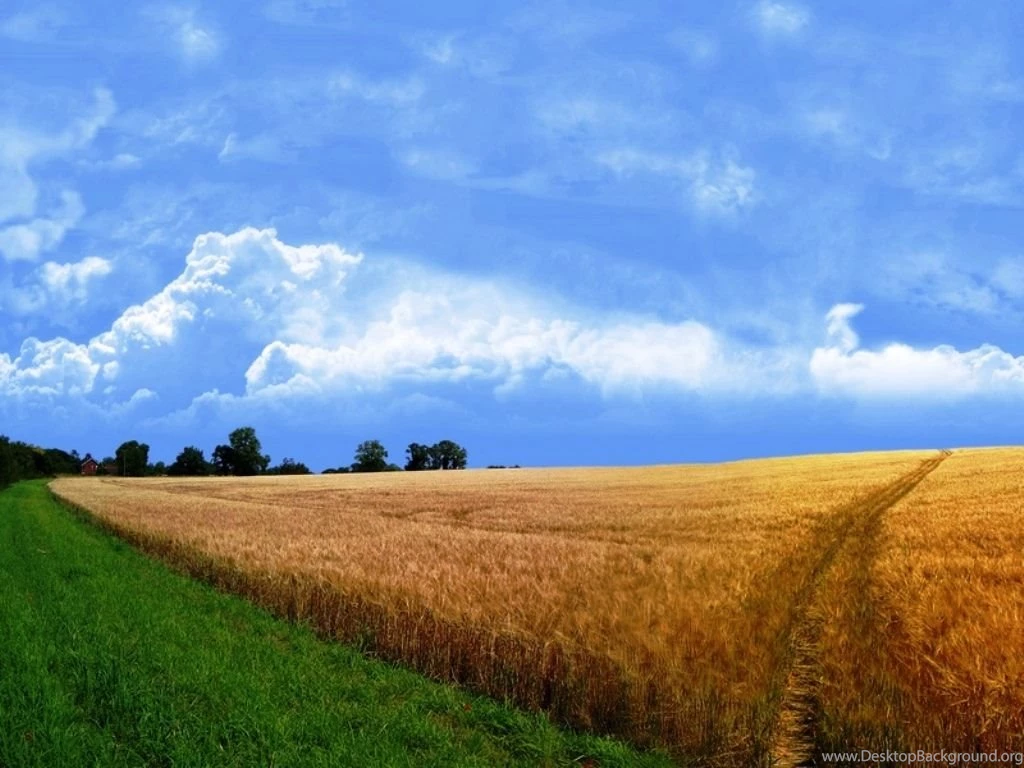 The Best Nature Wallpapers Photos Of The Best HD Nature Wallpapers ...