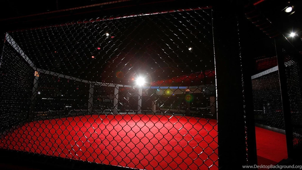Top Ufc Cage Wallpaper Images For Pinterest