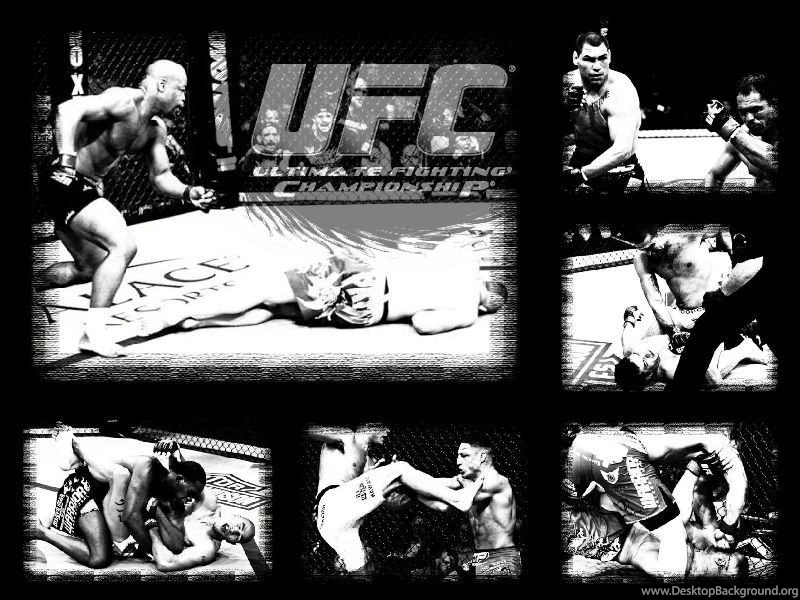 Top Mma Wallpapers Desktop Images For Pinterest