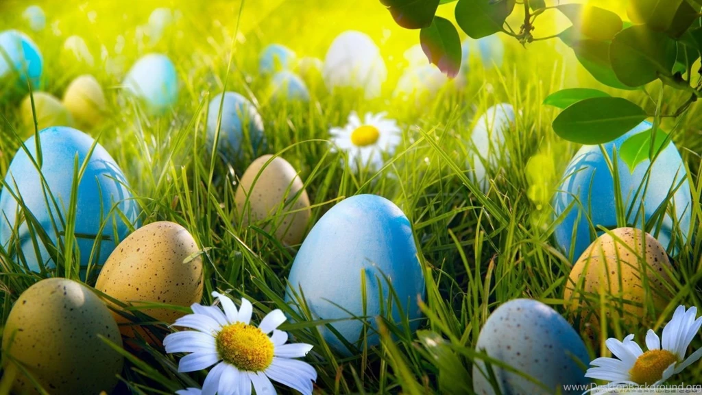 Easter Egg Hunt HD Desktop Wallpapers : High Definition ...