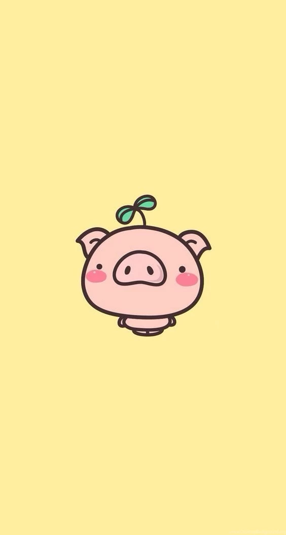 Cute Pig
