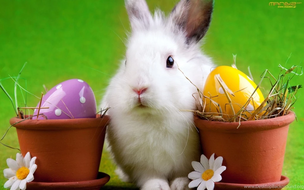Free Easter Wallpapers Hd 49351 Desktop Wallpapers