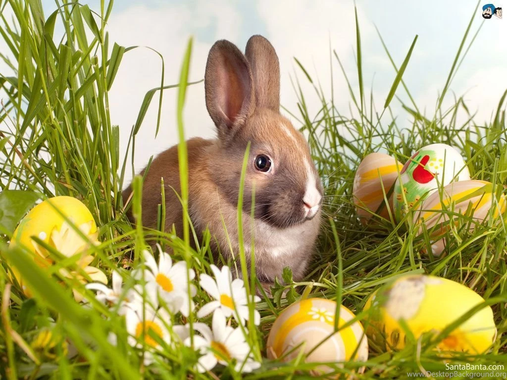 Free Download Easter HD Wallpapers